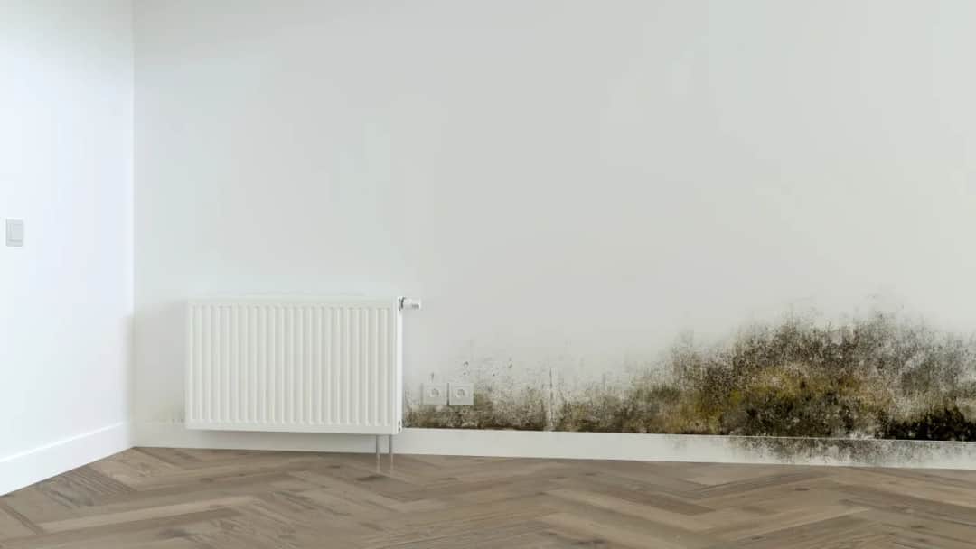 Skuteczne sposoby na pozbycie się wilgoci ze ścian w domu